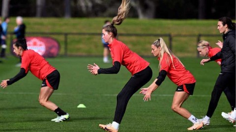 枫叶玫瑰备战世界杯绿茵场展英姿