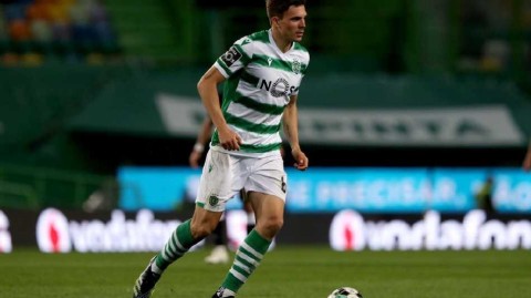 富勒姆喜迎葡萄牙中场悍将帕利尼亚加盟