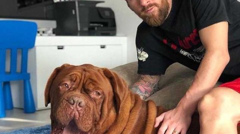 球王与他的毛孩子：梅西和爱犬的温情日常