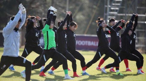 坡州的呐喊：太极玫瑰为奥运梦想最后一次绽放