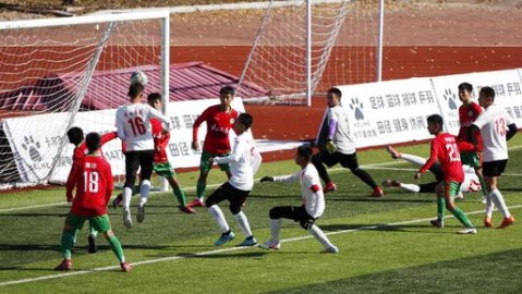 一、关于本文的两项说明