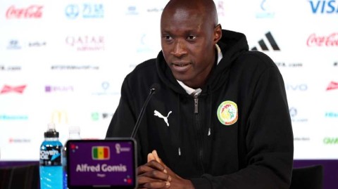 特兰加雄狮多哈砺爪 静候三狮军团