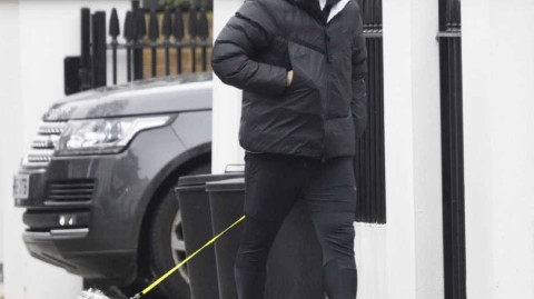 神灯卸甲归家闲适遛狗