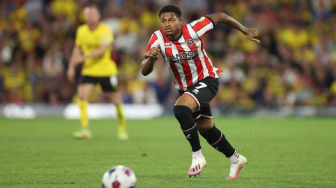 大黄蜂主场奏凯歌 新帅首秀迎开门红