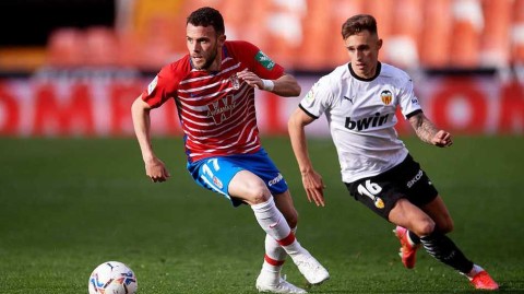 梅斯塔利亚的夜晚：蝙蝠军团击退石榴城，沃斯与布兰科点亮胜利之光