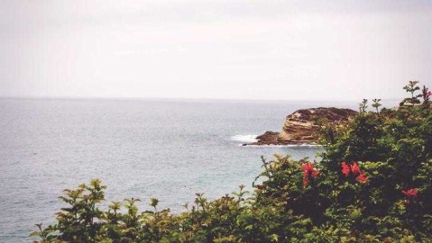 皇家马德里第五签：法国魔翼费兰门迪空降伯纳乌