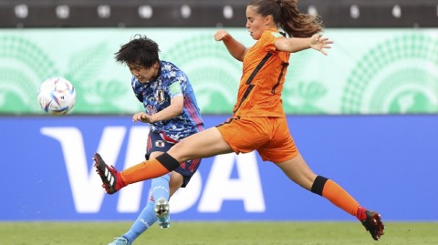 蓝武士青春风暴席卷哥斯达黎加 东瀛玫瑰力克郁金香迎开门红