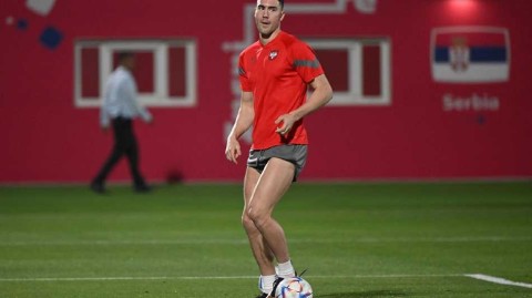 巴尔干雄鹰展翅 塞尔维亚队世界杯前最后冲刺