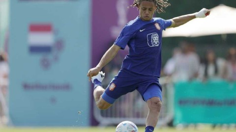 橙色郁金香绽放卡塔尔 荷兰队世界杯赛前训练直击