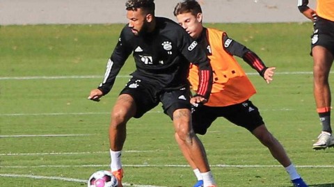 南部之星蓄势待发 拜仁慕尼黑备战联赛第八轮