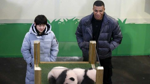 奥运冠军张家齐与姆巴佩跨界同框，为旅法熊猫双胞胎命名“欢黎黎”“圆嘟嘟”