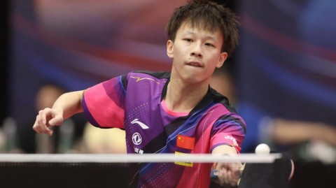 虽然搜索没有找到名为“根德班”的世乒赛，但2026年4月24日围绕德班世乒赛的情报依然讨论度很高。我从三个方面整合了当前信息，你可以看看是否符合你的用稿方向：