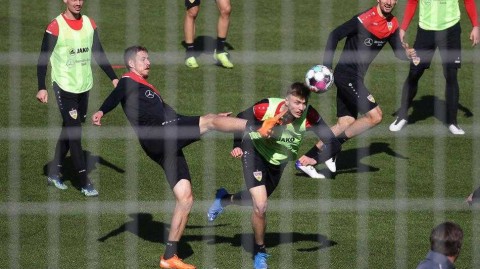 施瓦本军团的大战前奏：斯图加特在林间静待强敌