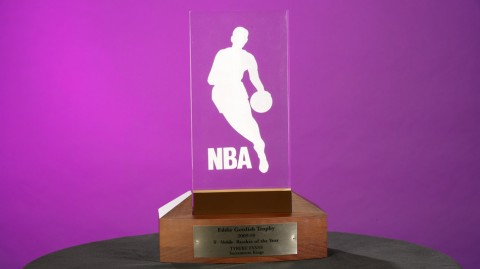 回顾经典：泰瑞克·埃文斯加冕NBA最佳新秀的荣耀时刻