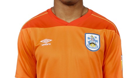 蓝白军团新纪元：哈德斯菲尔德新赛季写真定格英冠战前瞬间