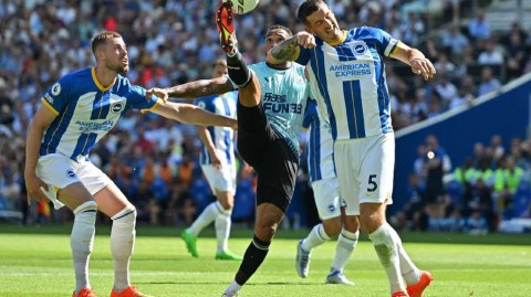 海鸥军团围攻未果 喜鹊门神力保城池