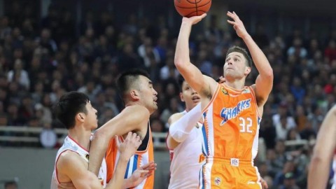 上海主场34分狂胜辽宁，22连胜+主场全胜+外援告急，卢伟的季后赛隐忧才刚刚开始