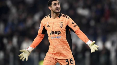 忠诚守护者佩林与尤文续写斑马情缘