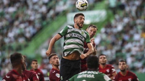 绿白雄狮激战欧联之王 阿尔瓦拉德球场见证季前交锋