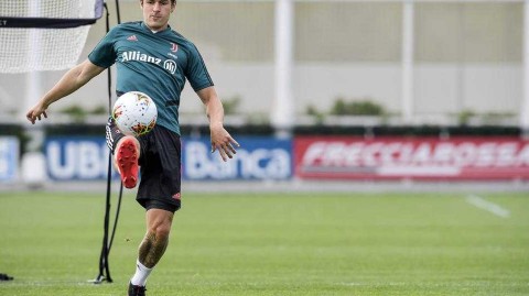 斑马军团重启备战 空场之下静待复赛