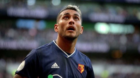 弗留利之子归来：罗伯托·佩雷拉重回乌迪内斯