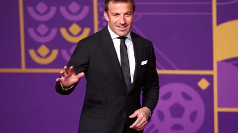 斑马王子闪耀多哈红毯 传奇归来见证世界杯抽签盛典