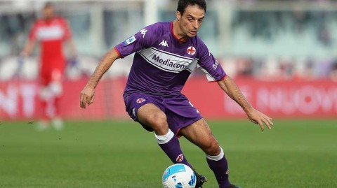 紫百合主场绽放，弗拉霍维奇帽子戏法闪耀弗兰基