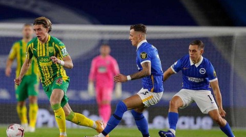 海鸥迷局与灯笼裤韧劲：布莱顿战平西布朗，英超保级战上演光影交错