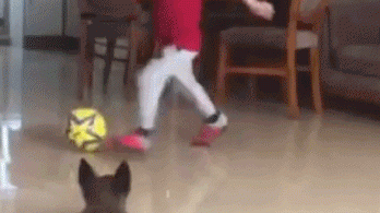 梅西级灵动结合克里斯蒂亚诺式强悍：五岁神童阿尔特引爆全球足坛