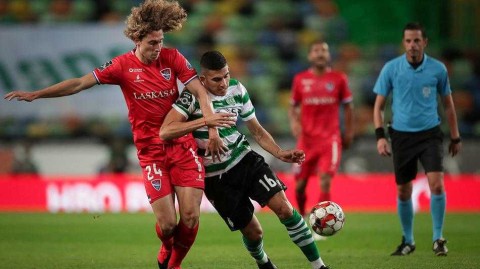 绿狮主场奏凯歌，巴西双星闪耀阿尔瓦拉德