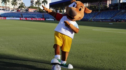 萌翻球场！美洲杯吉祥物变身搞怪达人，抢镜巴西VS厄瓜多尔之战