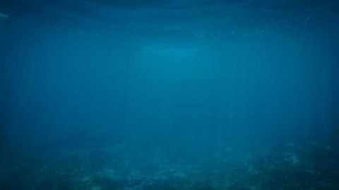 慕尼黑的夏日回响：聚焦2020年盛夏的拜仁备战