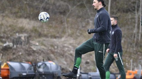 神塔降临巴根公园 伊布随哈马比合练背后的故事