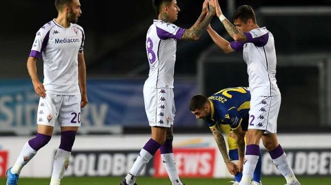 维罗纳本特戈迪球场的血色黄昏紫百合用坚韧刺破黑夜