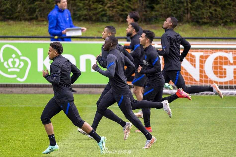 主帅弗兰克·德波尔双手抱胸，神情严峻地注视着训练场，仿佛在脑海中推演着欧洲杯上的战术变化