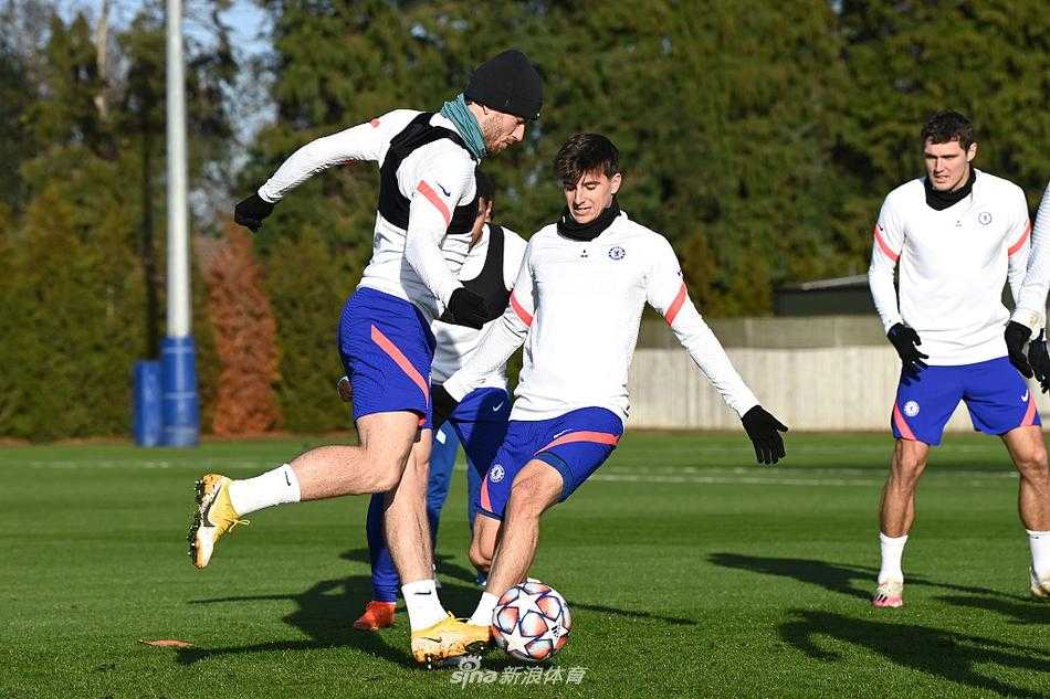 老将吉鲁在拉伸训练中一丝不苟，阳光勾勒出他强健的肌肉线条。这位法国锋霸眼神低垂，看似平静的外表下，似乎正酝酿着一次震惊欧陆的爆发，他身边的足球仿佛也感受到了那股蓄势待发的杀气。