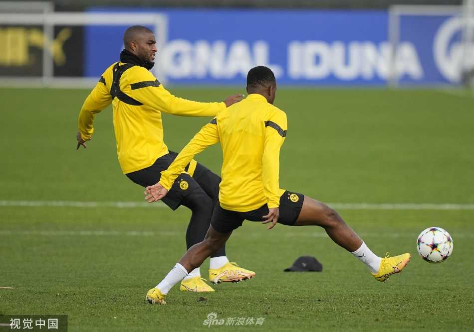 教练组在场边聚精会神地观察训练，手持战术板进行深入分析和交流