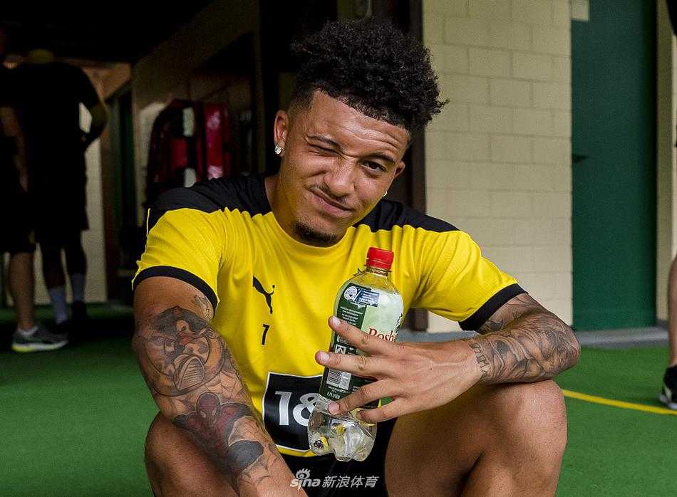 夕阳西下，训练场被笼罩在一片金色的余晖中，多特蒙德的队徽在灯光下格外醒目，标志着大黄蜂新征程的即将起航