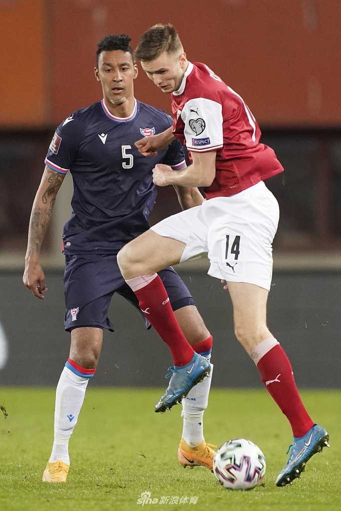 雨夜中的恩斯特·哈佩尔球场灯光璀璨，看台上挥舞的旗帜与专注观赛的球迷构成一幅动人的画面，足球的激情在这一刻被永恒定格