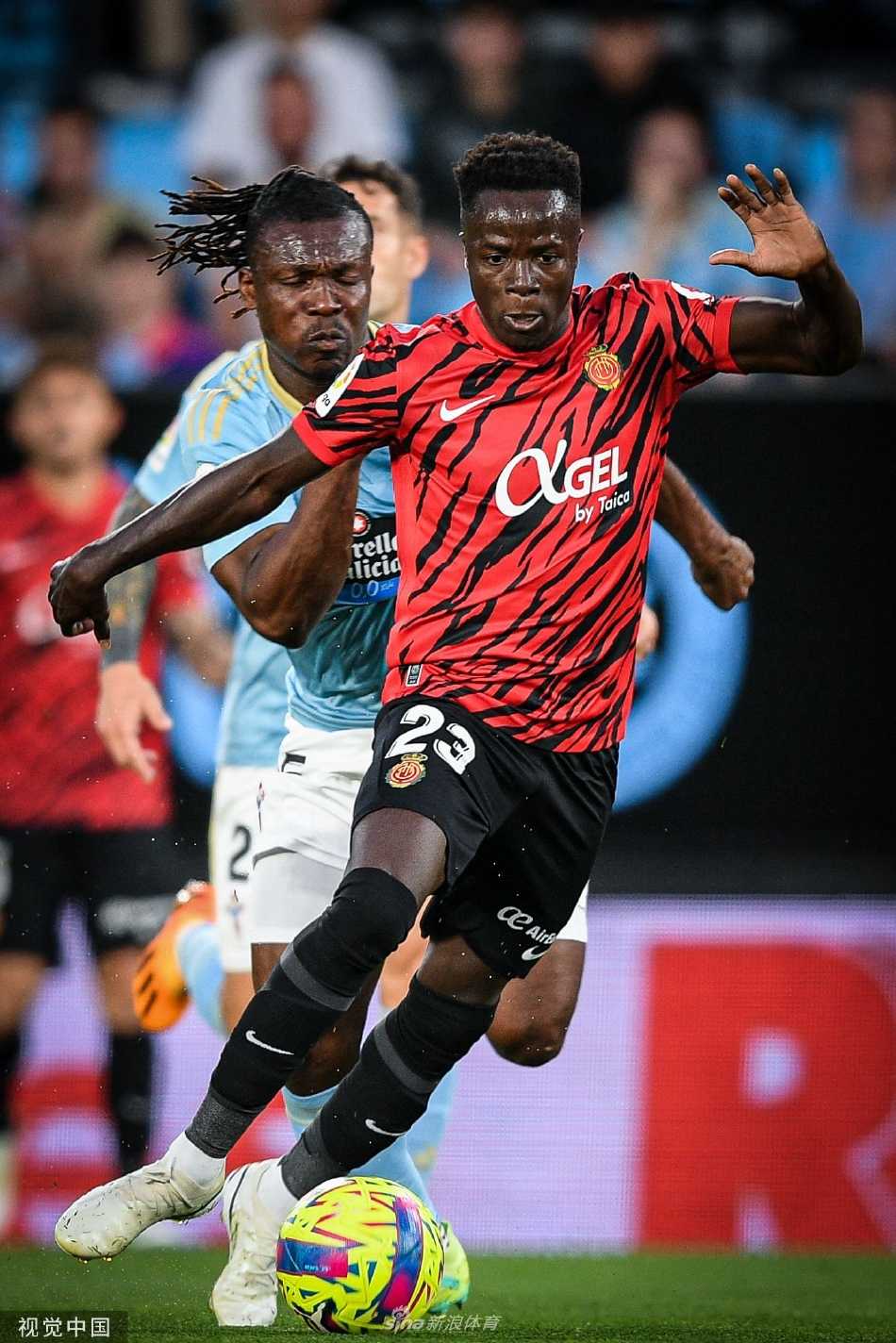 一位塞尔塔小球迷将脸埋在围巾中，眼神里写满了失落，他身后的看台背景则是一片沉寂，与远处庆祝的客队球迷形成鲜明对比。